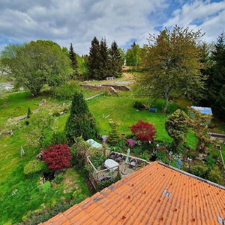 Ferienwohnung Dersch Mauth Εξωτερικό φωτογραφία